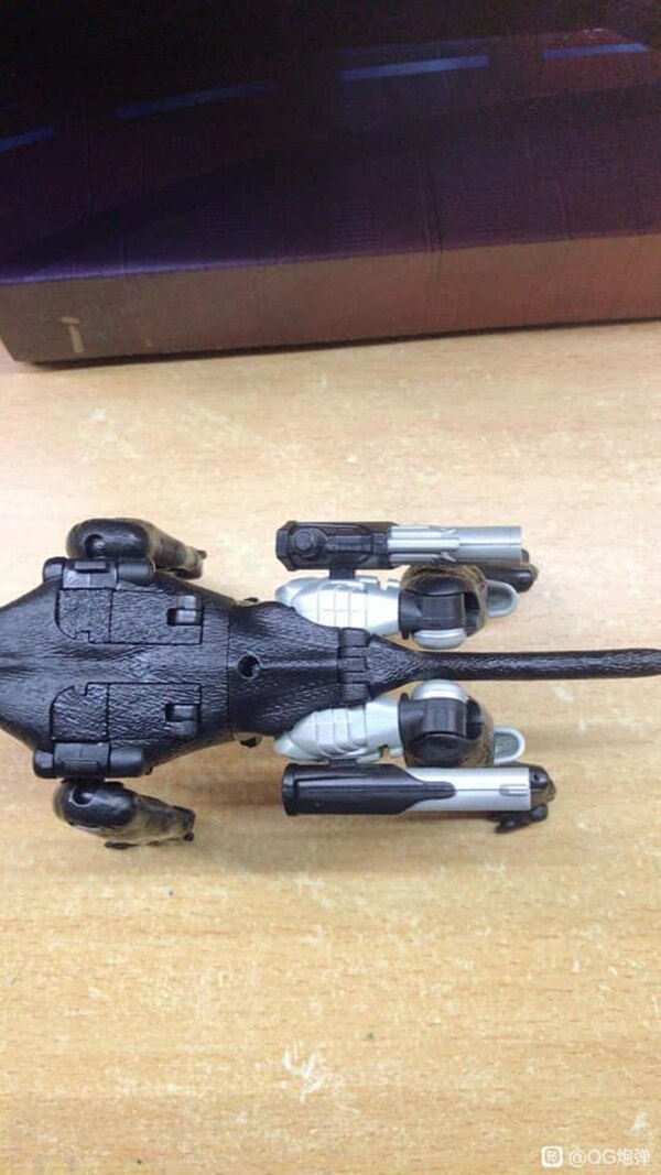 MORE Transformers Agent Ravage Images Cheetor Compared  (59 of 67)